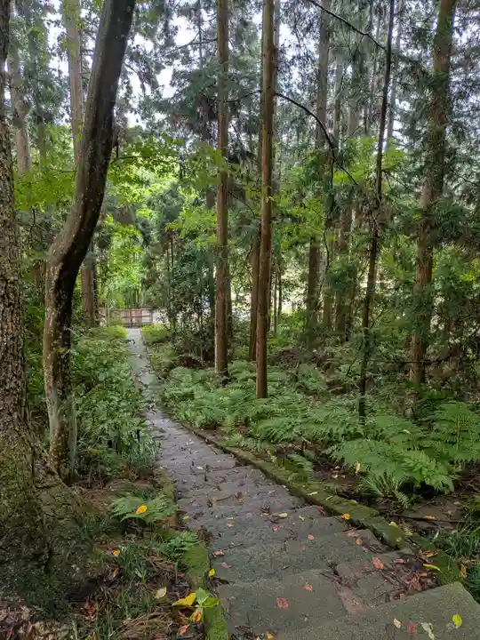 中尊寺金色堂(岩手県)