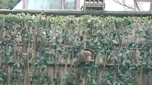 明月院(神奈川県)