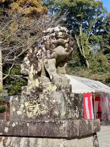 出雲大神宮の狛犬