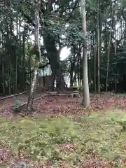 久良彌神社の建物その他