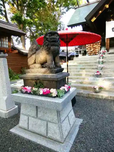 札幌諏訪神社の狛犬