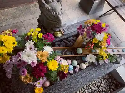 滑川神社 - 仕事と子どもの守り神の手水舎