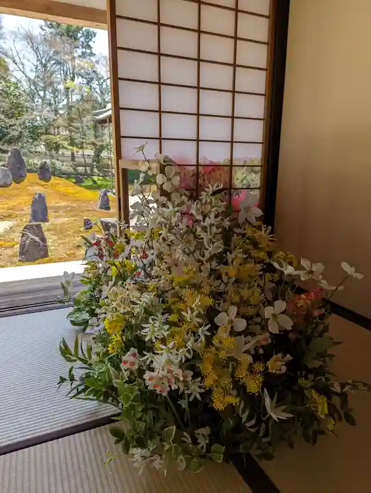 光明院(光明禅院)(京都府)