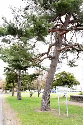 市来知神社(北海道)