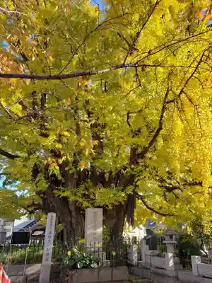 善福寺(東京都)