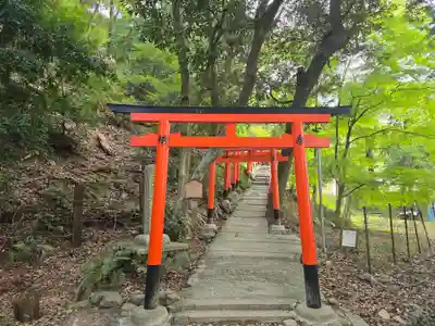 二葉姫稲荷神社(京都府)