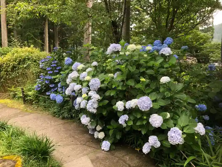 三千院門跡の自然