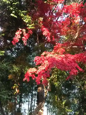 遠州信貴山別院(毘沙門堂)の自然