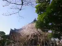 本覚寺の本殿・本堂