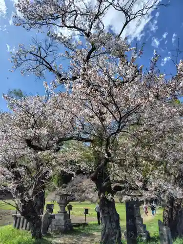 鏡山湯泉神社(栃木県)