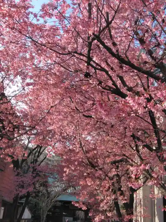 寿福寺(東京都)