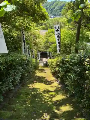 杉本寺の{uncategorized: "未分類", other: "その他", undefined: "問題あり", building: "その他建物", grave: "お墓", sacred_gate: "鳥居", guardian: "狛犬", statue: "像", buddha: "仏像", history: "歴史", nature: "自然", garden: "庭園", animal: "動物", pagoda: "塔", temizu: "手水舎", mountain_gate: "山門・神門", sanctuary: "本殿・本堂", subordinate: "末社・摂社", art: "芸術", scenery: "景色", jizo: "地蔵", ema: "絵馬", goshuin: "御朱印", omikuji: "おみくじ", items: "授与品その他", amulet: "お守り", goshuincho: "御朱印帳", eats: "食事", festival: "お祭り", votive_dance: "神楽", shichigosan: "七五三参", wedding: "結婚式", experience: "体験その他", initially: "初詣", around: "周辺", anti_infection: "感染症対策"}