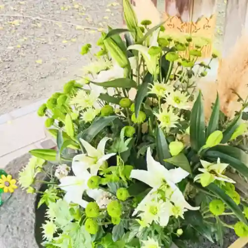 彌彦神社　(伊夜日子神社)(北海道)