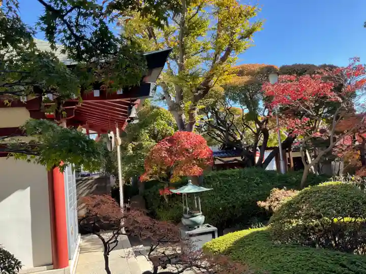 金剛寺(東京都)