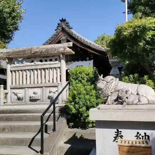 羊神社の狛犬