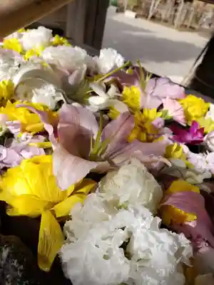 鳩森八幡神社(東京都)