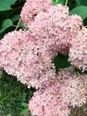 磯山神社の自然