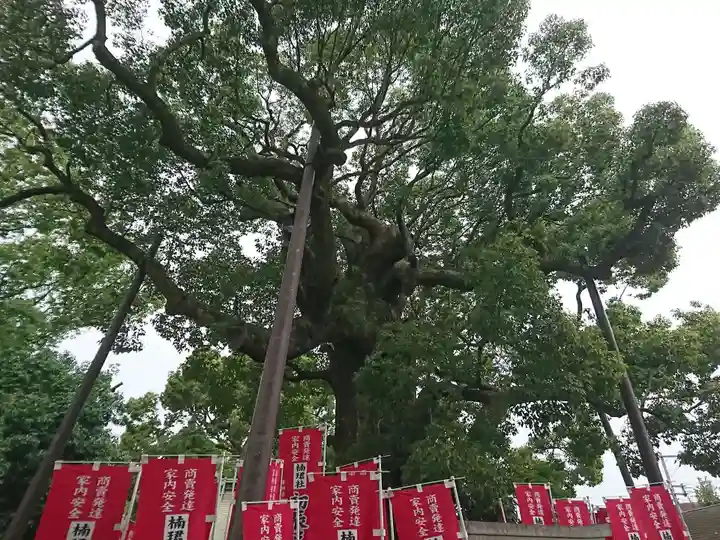 楠珺社(住吉大社末社)の自然