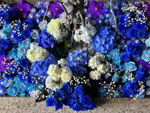 札幌諏訪神社の手水舎