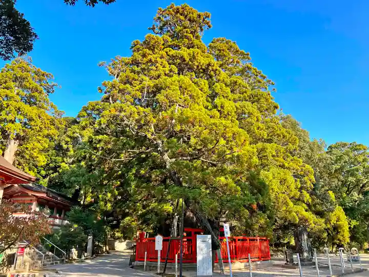 香椎宮(福岡県)
