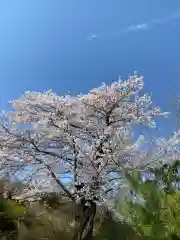 安養寺(福島県)