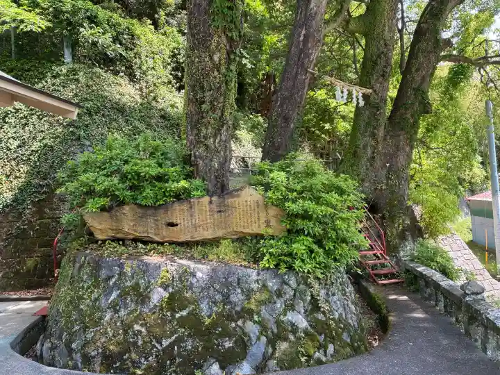 土肥神社の{uncategorized: "未分類", other: "その他", undefined: "問題あり", building: "その他建物", grave: "お墓", sacred_gate: "鳥居", guardian: "狛犬", statue: "像", buddha: "仏像", history: "歴史", nature: "自然", garden: "庭園", animal: "動物", pagoda: "塔", temizu: "手水舎", mountain_gate: "山門・神門", sanctuary: "本殿・本堂", subordinate: "末社・摂社", art: "芸術", scenery: "景色", jizo: "地蔵", ema: "絵馬", goshuin: "御朱印", omikuji: "おみくじ", items: "授与品その他", amulet: "お守り", goshuincho: "御朱印帳", eats: "食事", festival: "お祭り", votive_dance: "神楽", shichigosan: "七五三参", wedding: "結婚式", experience: "体験その他", initially: "初詣", around: "周辺", anti_infection: "感染症対策"}