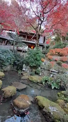 柳谷観音　楊谷寺(京都府)