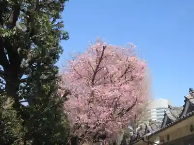 田端八幡神社(東京都)