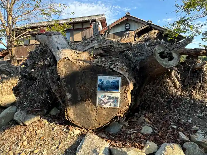 沙沙貴神社の自然