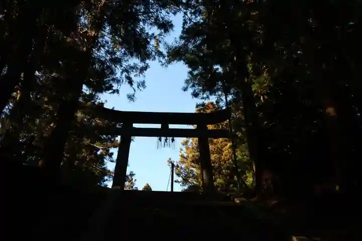 油井神社の鳥居