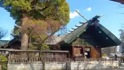 所澤神明社(埼玉県)