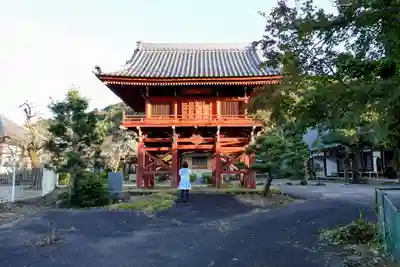 龍泰寺の山門・神門