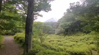 胎内神社の景色