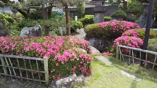 圓照寺の庭園