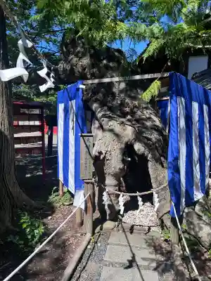 生島足島神社(長野県)