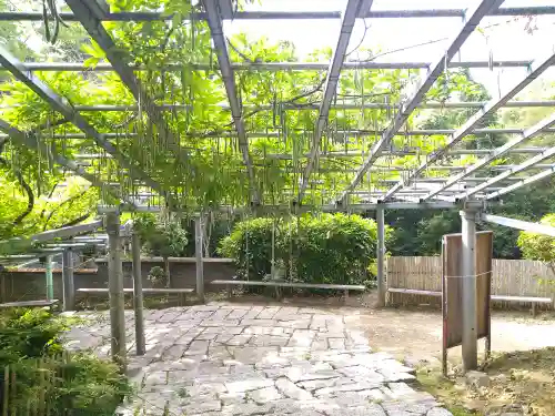 阿智神社の庭園