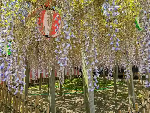 惣社神社(滋賀県)