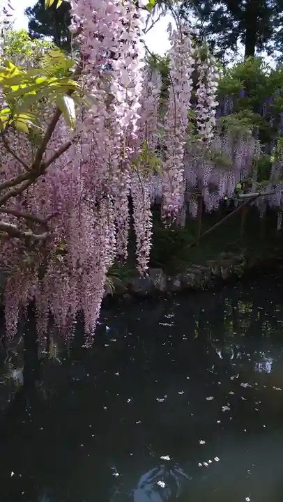 歌泉堂(春日大社神苑萬葉植物園内鎮座)(奈良県)