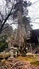 千磐神社(岡山県)