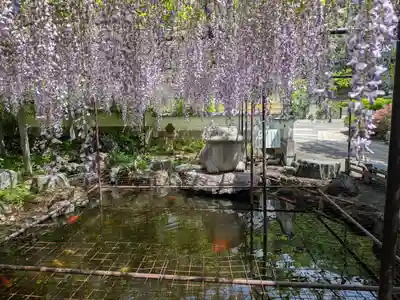 長泉寺(埼玉県)