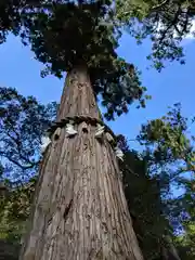 由岐神社の自然