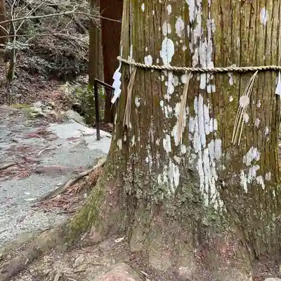 伊野天照皇大神宮(福岡県)