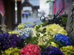 札幌諏訪神社の手水