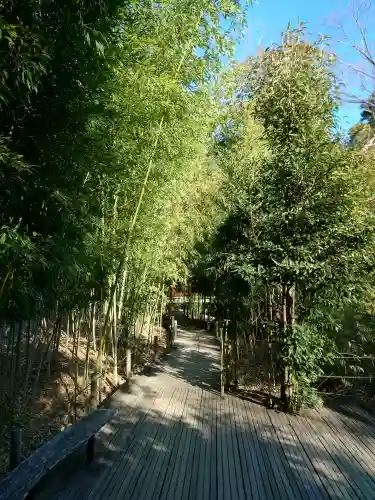 武蔵一宮氷川神社の{uncategorized: "未分類", other: "その他", undefined: "問題あり", building: "その他建物", grave: "お墓", sacred_gate: "鳥居", guardian: "狛犬", statue: "像", buddha: "仏像", history: "歴史", nature: "自然", garden: "庭園", animal: "動物", pagoda: "塔", temizu: "手水舎", mountain_gate: "山門・神門", sanctuary: "本殿・本堂", subordinate: "末社・摂社", art: "芸術", scenery: "景色", jizo: "地蔵", ema: "絵馬", goshuin: "御朱印", omikuji: "おみくじ", items: "授与品その他", amulet: "お守り", goshuincho: "御朱印帳", eats: "食事", festival: "お祭り", votive_dance: "神楽", shichigosan: "七五三参", wedding: "結婚式", experience: "体験その他", initially: "初詣", around: "周辺", anti_infection: "感染症対策"}