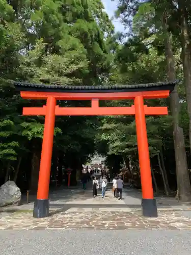 霧島神宮の{uncategorized: "未分類", other: "その他", undefined: "問題あり", building: "その他建物", grave: "お墓", sacred_gate: "鳥居", guardian: "狛犬", statue: "像", buddha: "仏像", history: "歴史", nature: "自然", garden: "庭園", animal: "動物", pagoda: "塔", temizu: "手水舎", mountain_gate: "山門・神門", sanctuary: "本殿・本堂", subordinate: "末社・摂社", art: "芸術", scenery: "景色", jizo: "地蔵", ema: "絵馬", goshuin: "御朱印", omikuji: "おみくじ", items: "授与品その他", amulet: "お守り", goshuincho: "御朱印帳", eats: "食事", festival: "お祭り", votive_dance: "神楽", shichigosan: "七五三参", wedding: "結婚式", experience: "体験その他", initially: "初詣", around: "周辺", anti_infection: "感染症対策"}