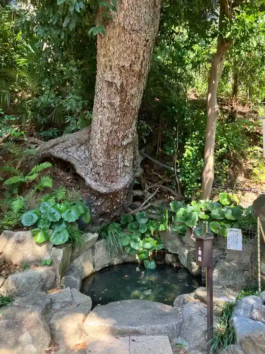 師岡熊野神社(神奈川県)