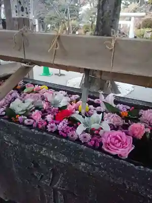 鳩森八幡神社の手水舎