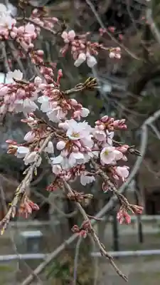 くろ谷 金戒光明寺(京都府)
