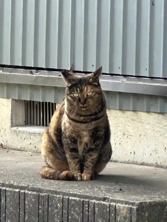 高尾山麓氷川神社(東京都)
