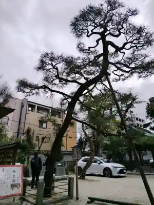 白峯神宮の{uncategorized: "未分類", other: "その他", undefined: "問題あり", building: "その他建物", grave: "お墓", sacred_gate: "鳥居", guardian: "狛犬", statue: "像", buddha: "仏像", history: "歴史", nature: "自然", garden: "庭園", animal: "動物", pagoda: "塔", temizu: "手水舎", mountain_gate: "山門・神門", sanctuary: "本殿・本堂", subordinate: "末社・摂社", art: "芸術", scenery: "景色", jizo: "地蔵", ema: "絵馬", goshuin: "御朱印", omikuji: "おみくじ", items: "授与品その他", amulet: "お守り", goshuincho: "御朱印帳", eats: "食事", festival: "お祭り", votive_dance: "神楽", shichigosan: "七五三参", wedding: "結婚式", experience: "体験その他", initially: "初詣", around: "周辺", anti_infection: "感染症対策"}
